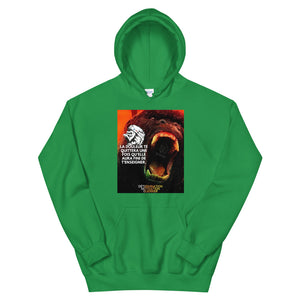 Sweat à capuche DMG
