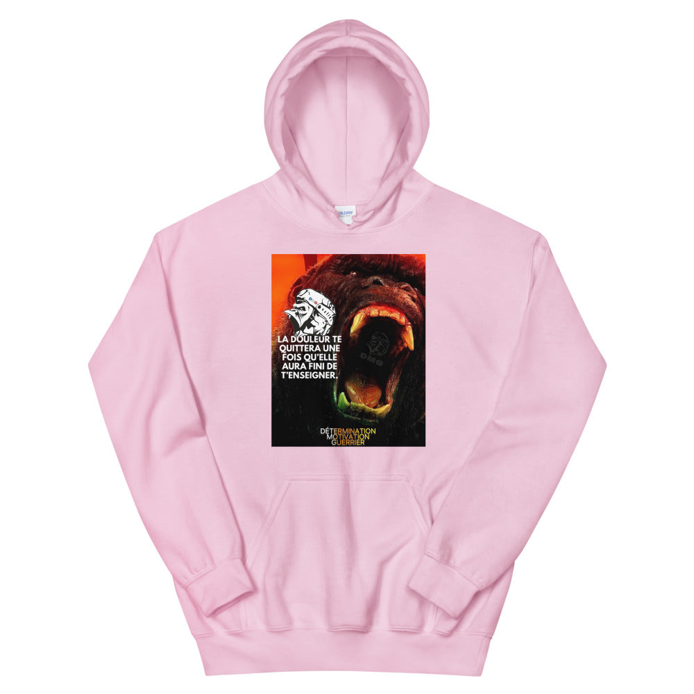 Sweat à capuche DMG