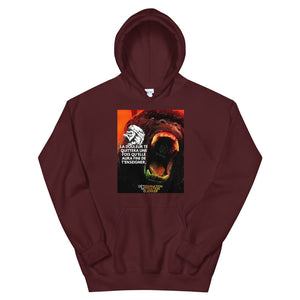 Sweat à capuche DMG