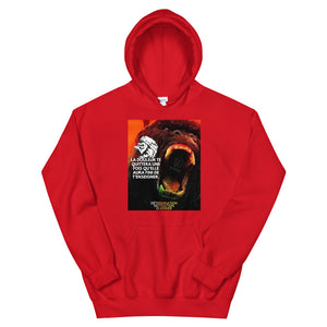 Sweat à capuche DMG