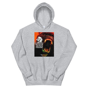 Sweat à capuche DMG